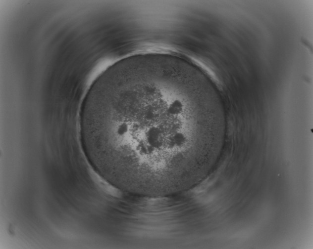 X0000097791471200803071401