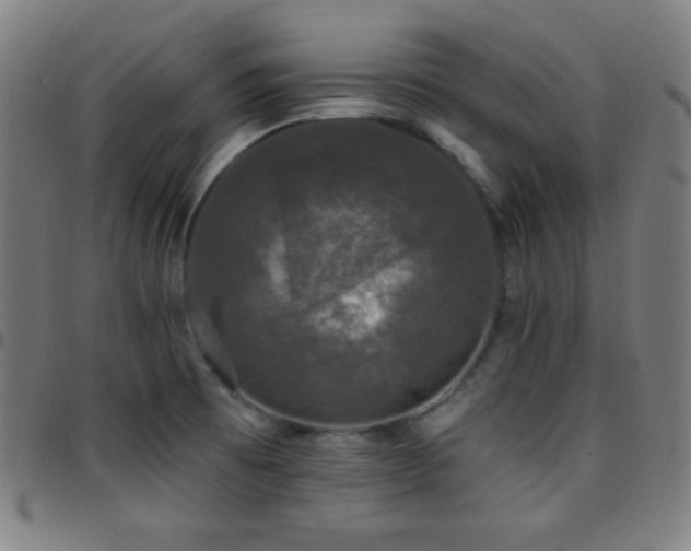X0000097791473200803071401