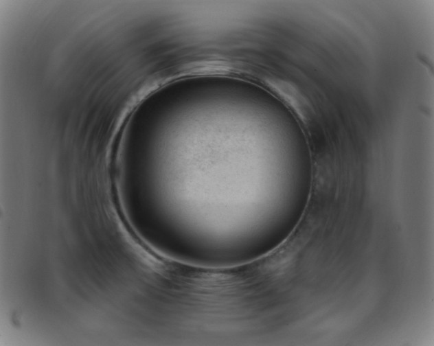 X0000097791475200803071401