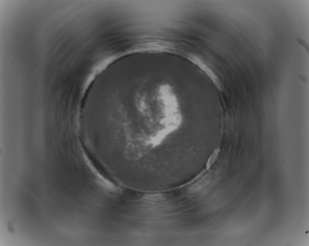X0000097791477200803071401