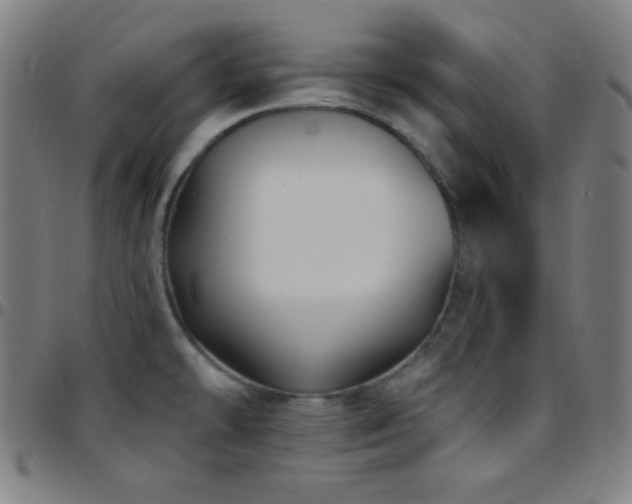 X0000097791478200803071401