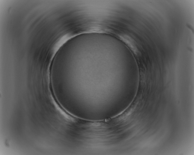X0000097791479200803071401