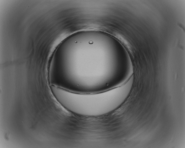 X0000097791480200803071401