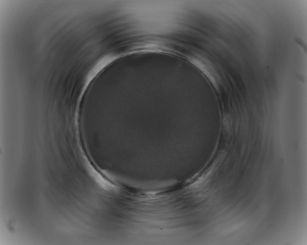 X0000097791482200803071401