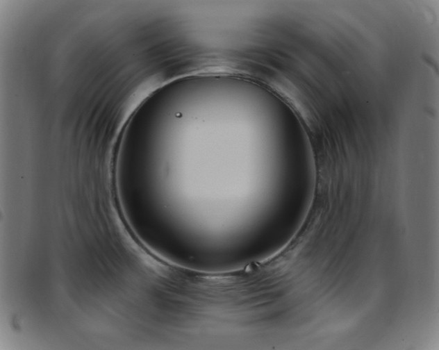 X0000097791483200803071401