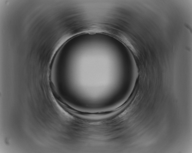 X0000097791484200803071401