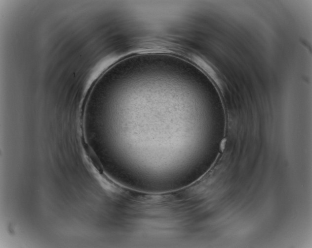 X0000097791485200803071401