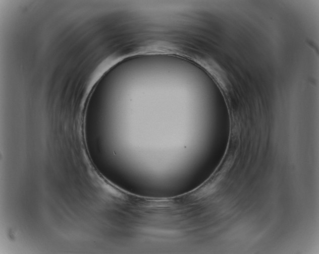 X0000097791486200803071401