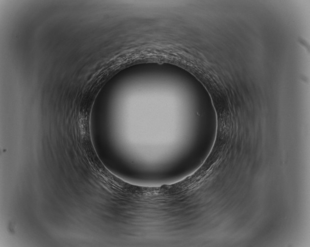 X0000097791490200803071400
