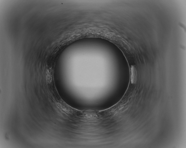X0000097791491200803071400