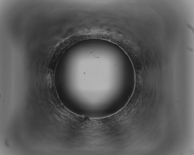 X0000097791493200803071400