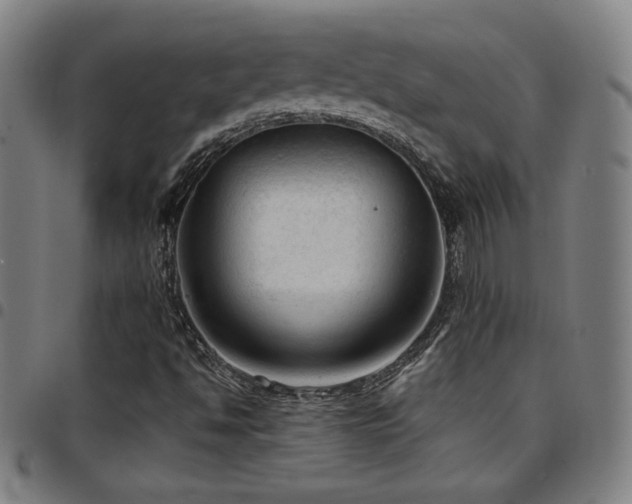 X0000097791494200803071400