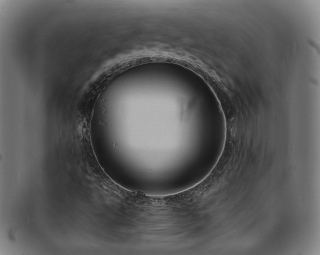 X0000097791495200803071400
