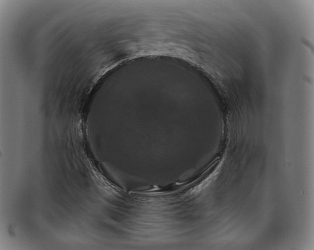 X0000097791497200803071400