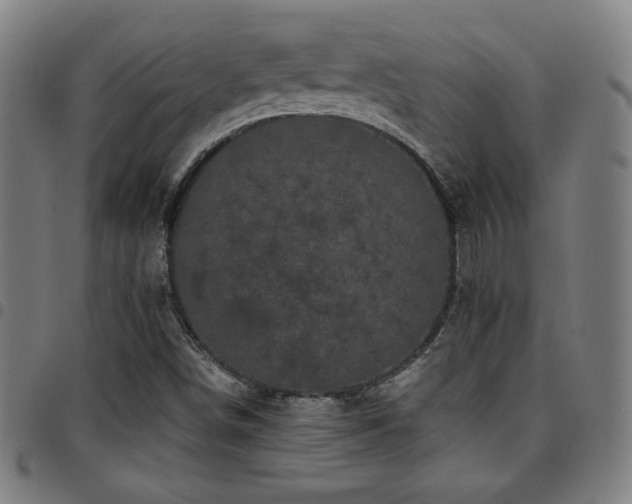 X0000097791498200803071400