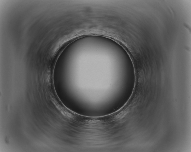 X0000097791499200803071400