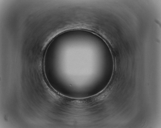 X0000097791500200803071400