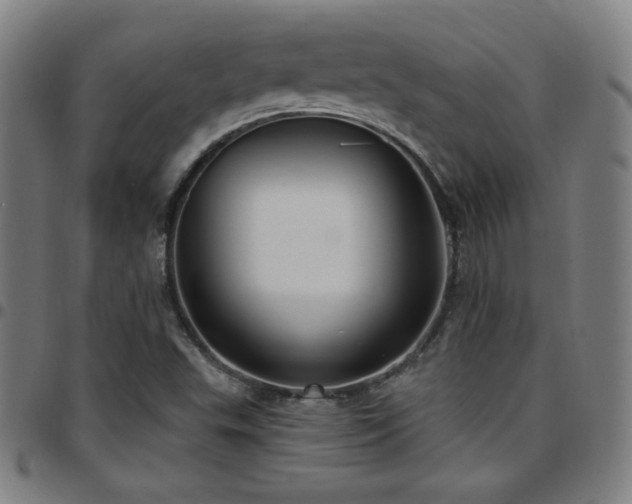 X0000097791503200803071400