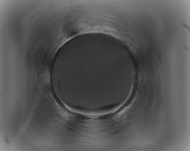 X0000097791505200803071400