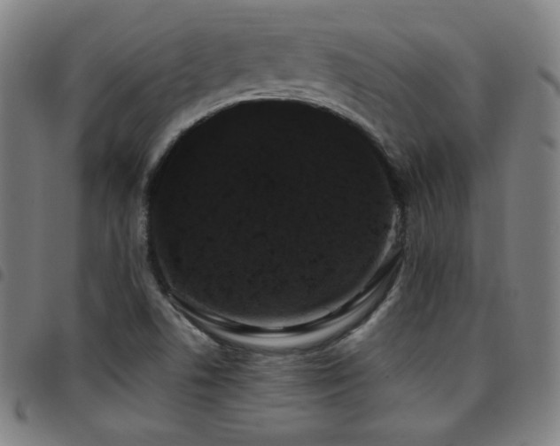 X0000097791506200803071400