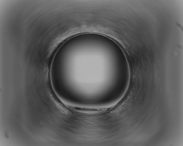 X0000097791507200803071400
