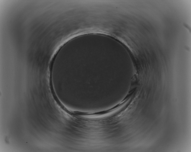X0000097791508200803071400
