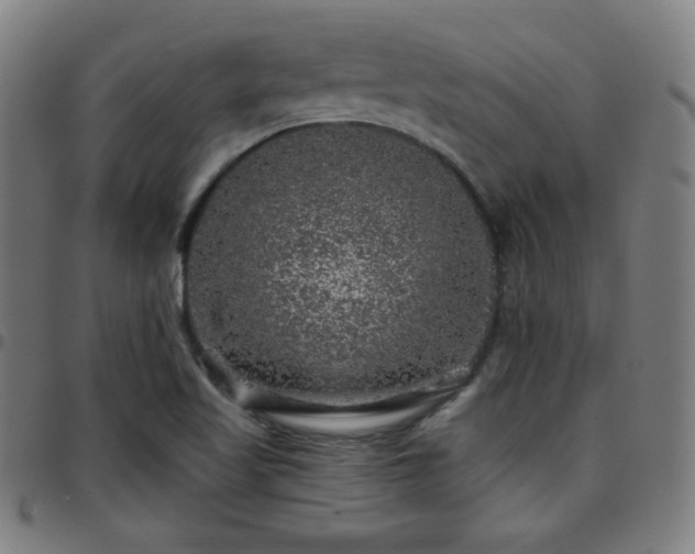 X0000097791509200803071400
