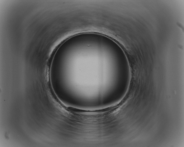 X0000097791510200803071400