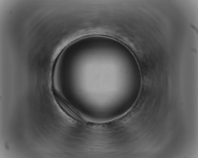 X0000097791512200803071400