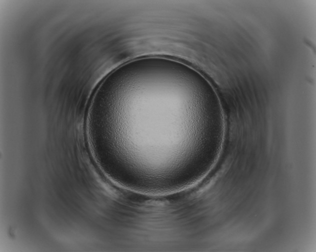 X0000097791513200803071400