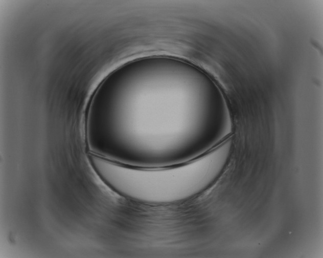 X0000097791516200803071400