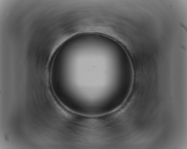 X0000097791517200803071400