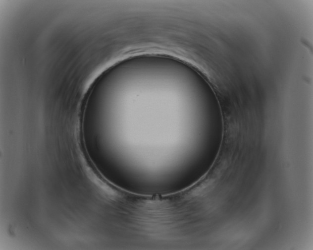 X0000097791518200803071400