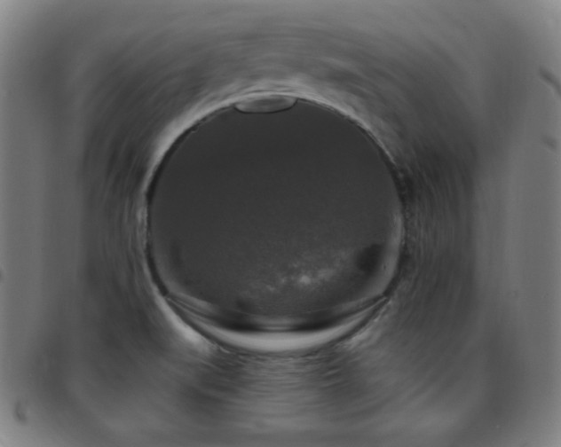 X0000097791519200803071400