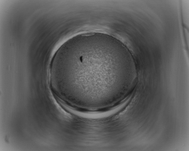 X0000097791520200803071400