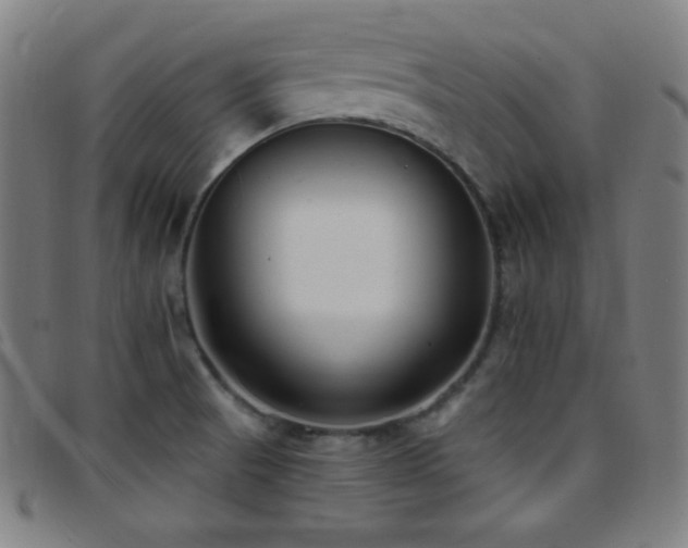 X0000097791521200803071400