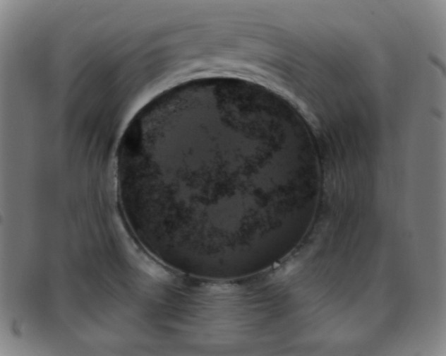 X0000097791522200803071400