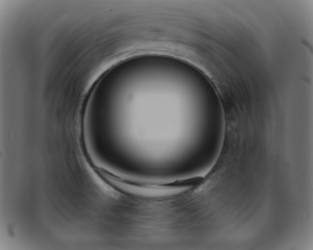 X0000097791523200803071400