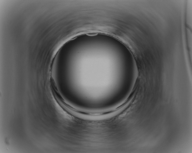 X0000097791524200803071401