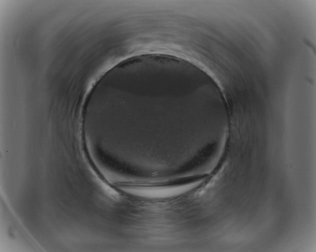 X0000097791525200803071401