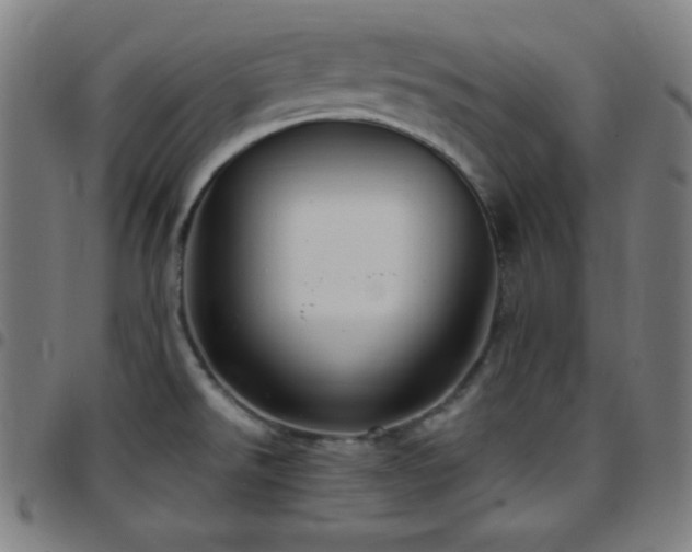 X0000097791526200803071401