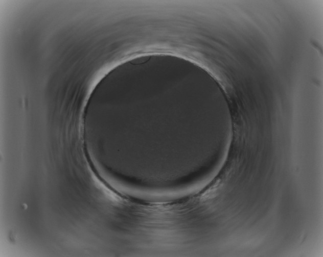 X0000097791527200803071401