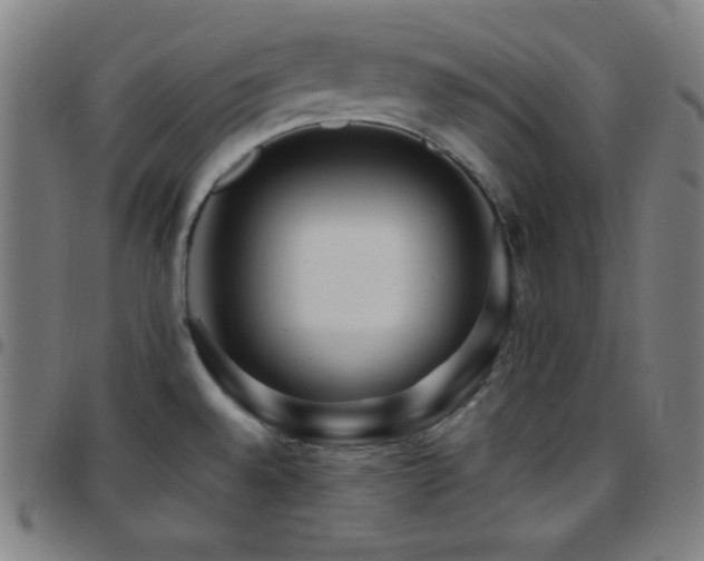 X0000097791528200803071401