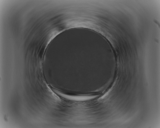 X0000097791529200803071401