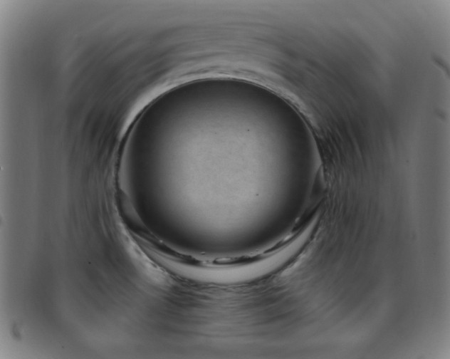 X0000097791530200803071401