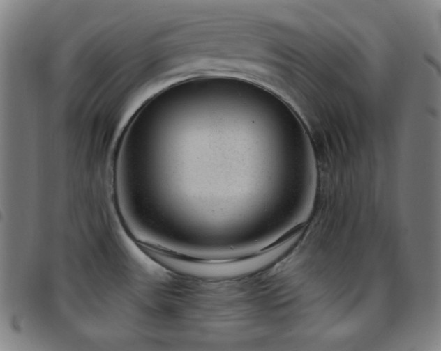 X0000097791531200803071401