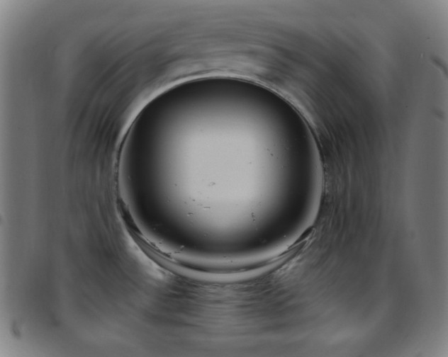 X0000097791532200803071401