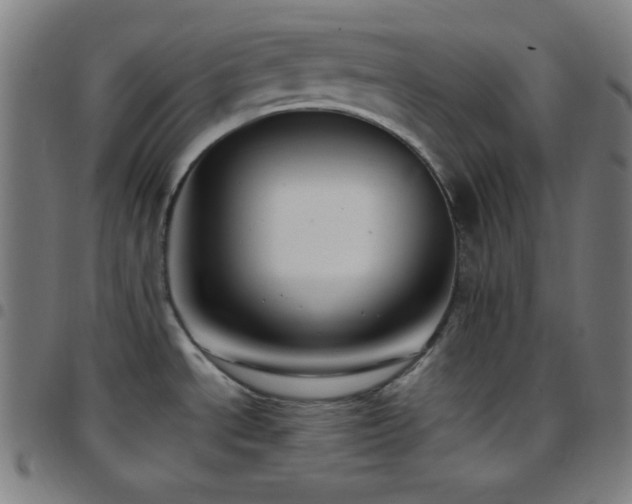 X0000097791534200803071401