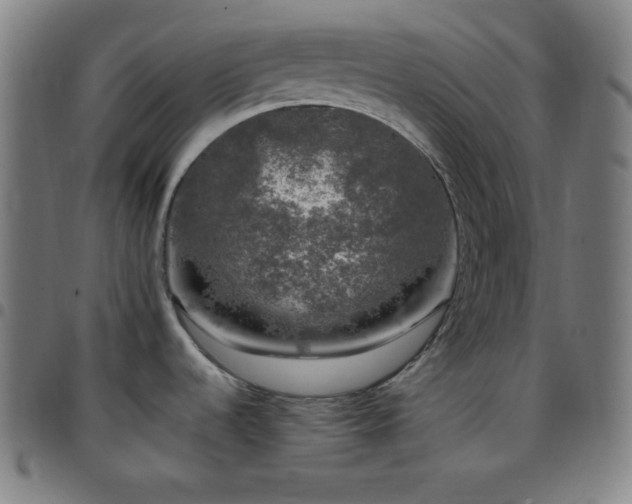 X0000097791536200803071401