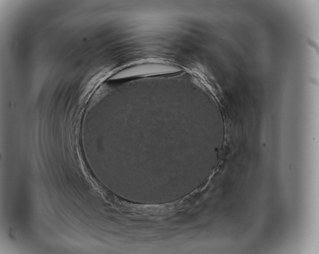 X0000097790001200803141839
